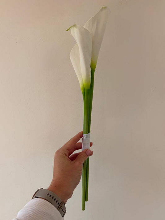 The Signature Calla Trio