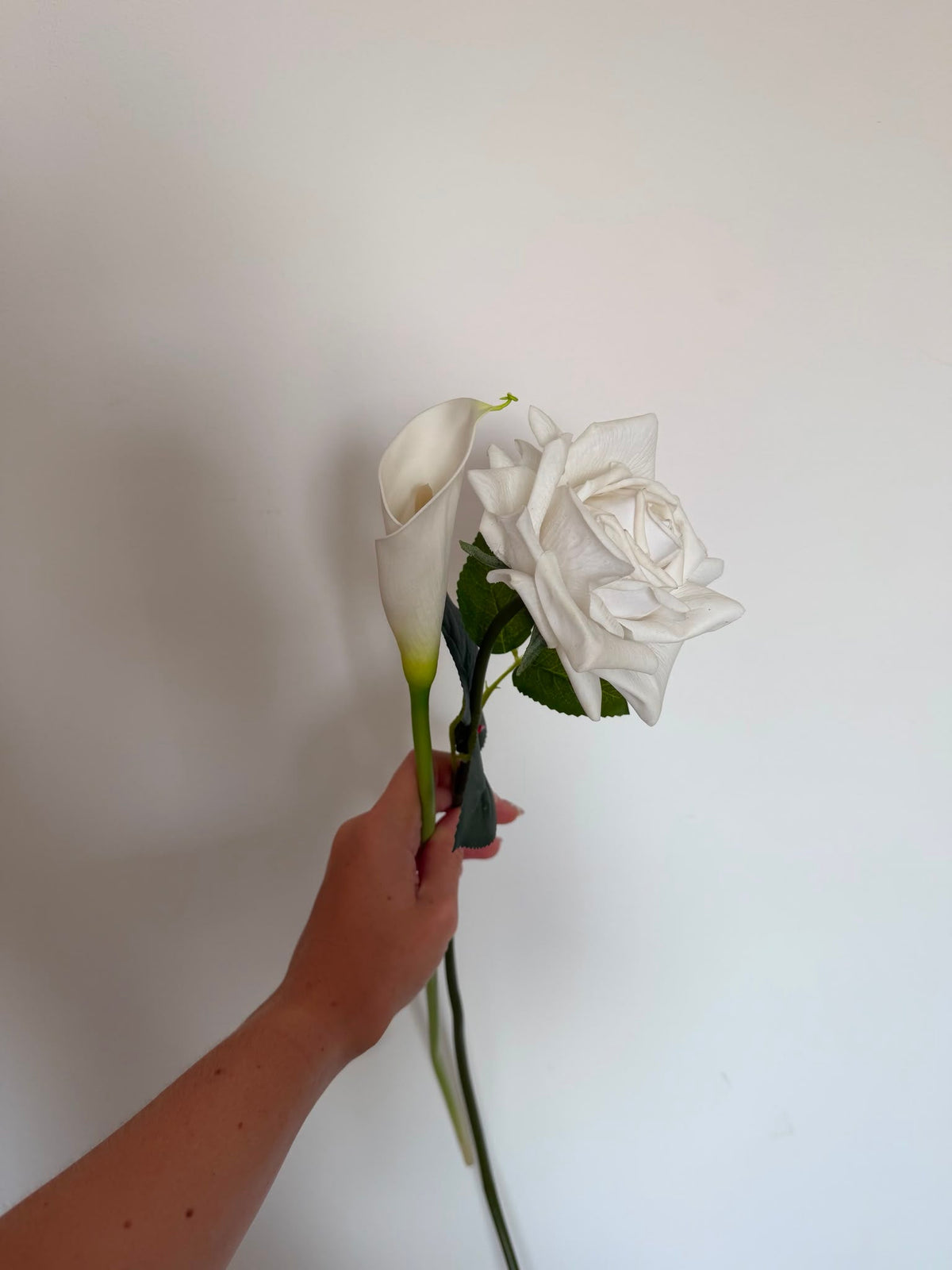 Sample Stems